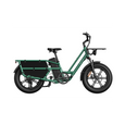 Fiido T2 Longtail Cargo E-bike