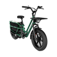 Fiido T2 Longtail Cargo E-bike